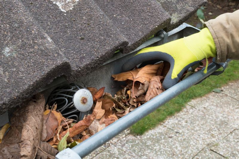 Commercial Downspout Cleaning in Denver County, CO