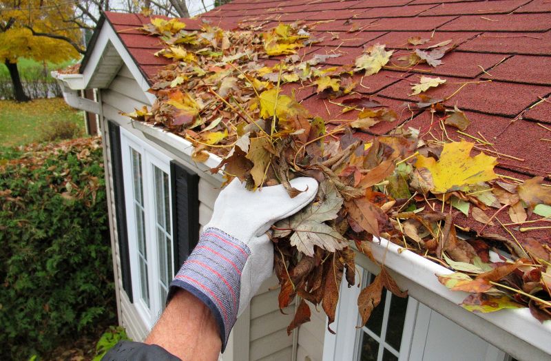 Downspout Cleaning in Richmond, VA