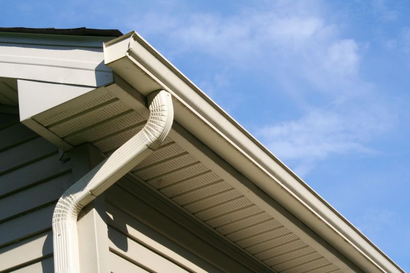 Eavestrough Clearing in Frederick, MD