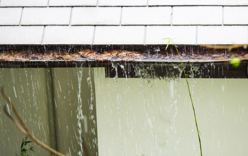 Gutter Blockage Removal in Richmond, VA