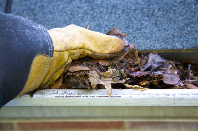 Gutter Cleaning in Morris County, NJ