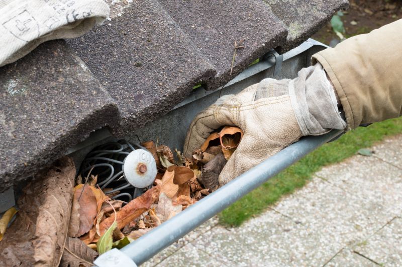 Gutter Leaf Clearing in Monmouth County, NJ