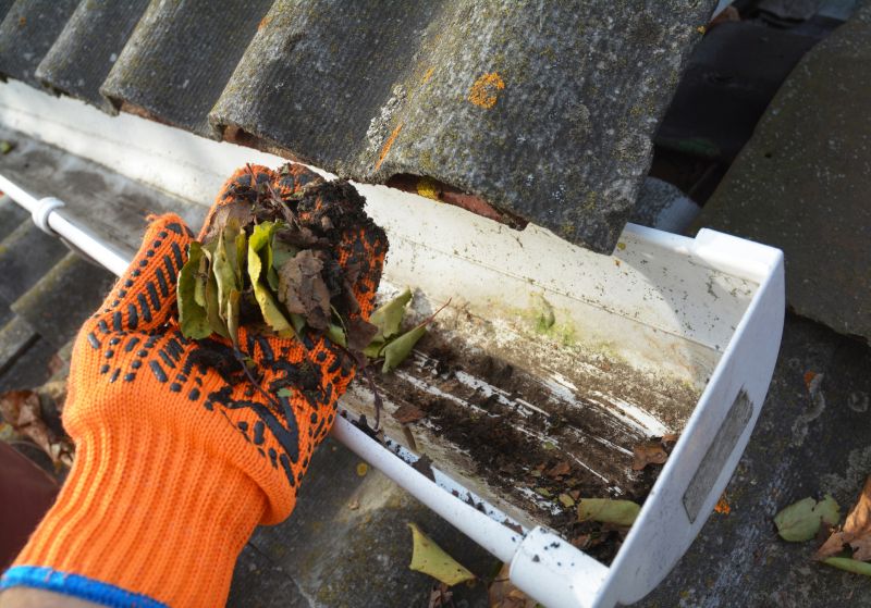 Clogged Gutter Clearing in Boulder, CO