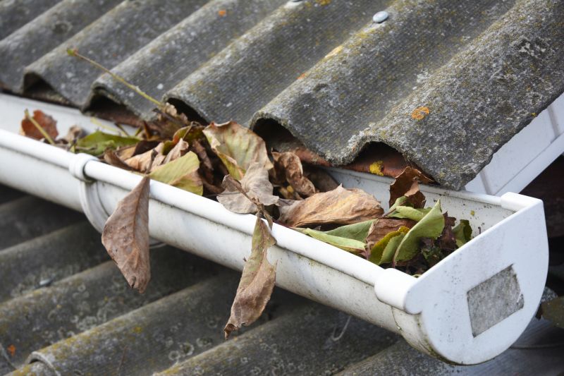 Clogged Gutter Clearing in Annapolis, MD