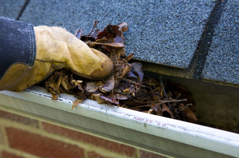 Clogged Gutter Clearing in Frederick, MD