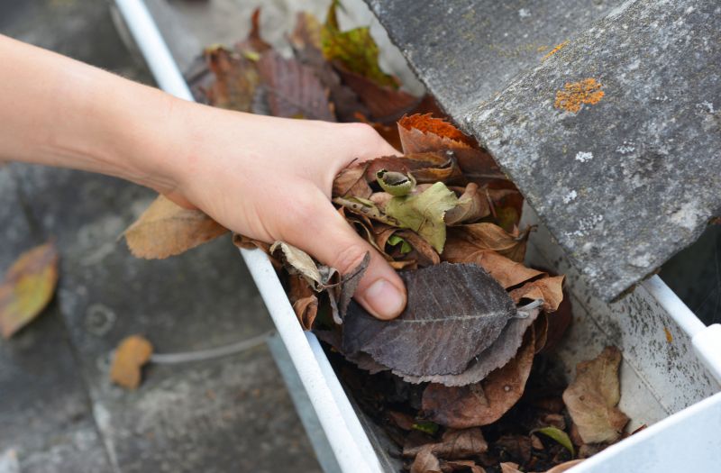 Commercial Gutter Maintenance in Littleton, CO