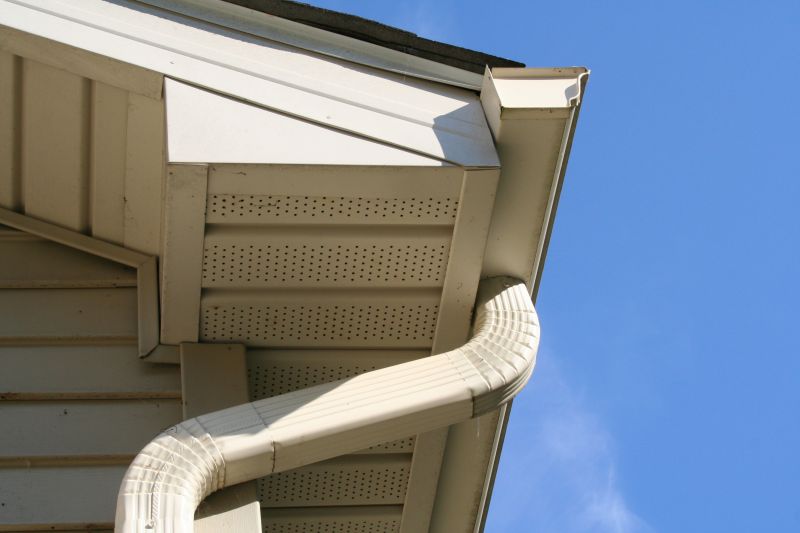 Downspout Blockage Removal in Arvada, CO