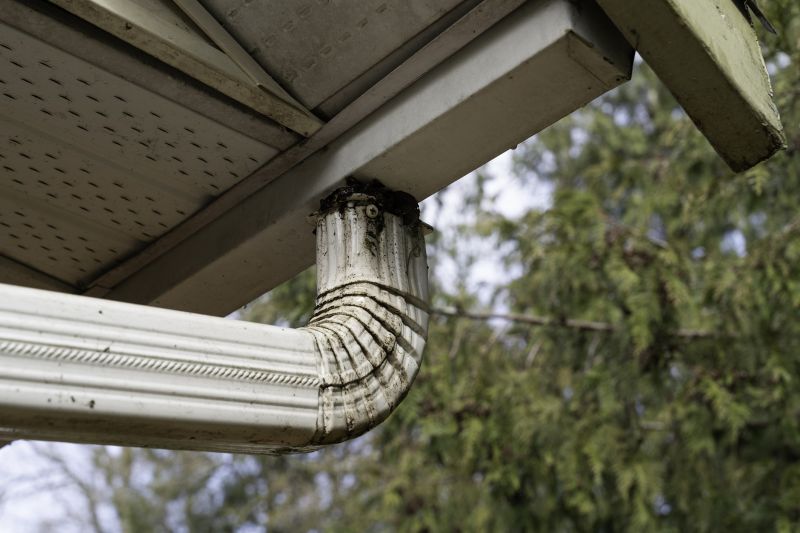 Downspout Blockage Removal in Long Island, NY