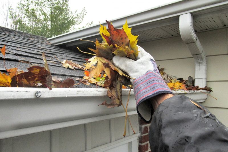 Roof And Gutter Cleaning detail