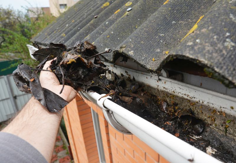 Gutter Leaf Clearing in Frederick, MD