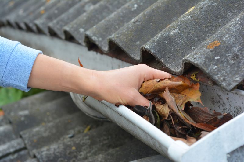 Gutter Leaf Clearing in Long Island, NY