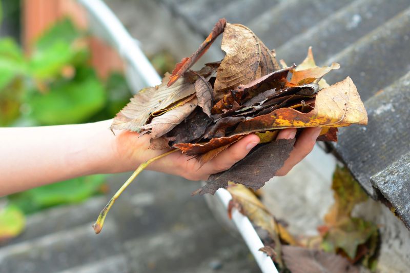 Gutter Leaves Removal in Long Island, NY