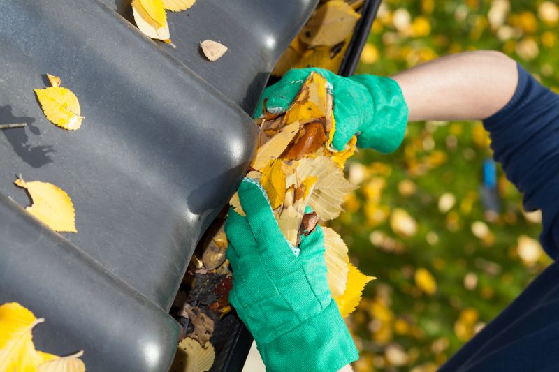 Gutter Maintenance in Boulder, CO