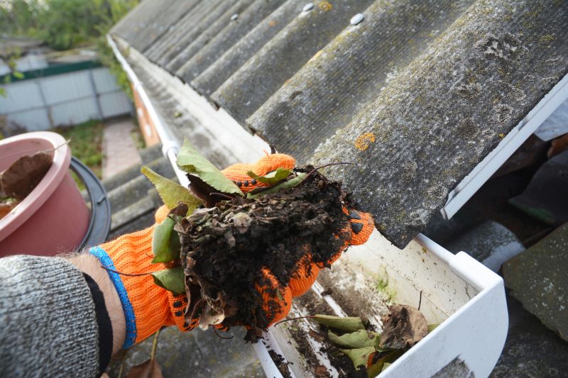 Gutter Pine Needle Removal in Fredericksburg, VA