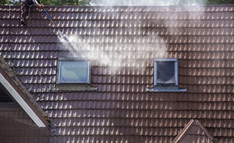 Roof Cleaning in Vancouver, WA