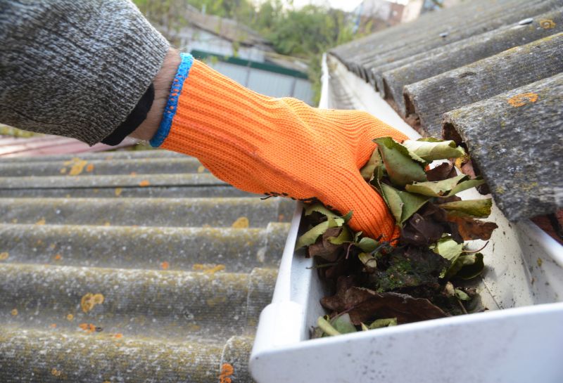 Roof Gutter Cleaning in Arvada, CO