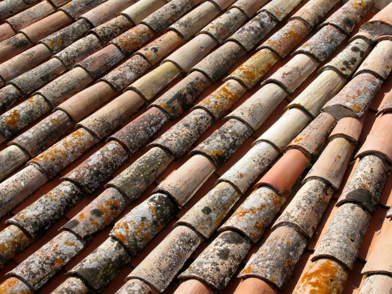 Roof Mildew Removal in Vancouver, WA