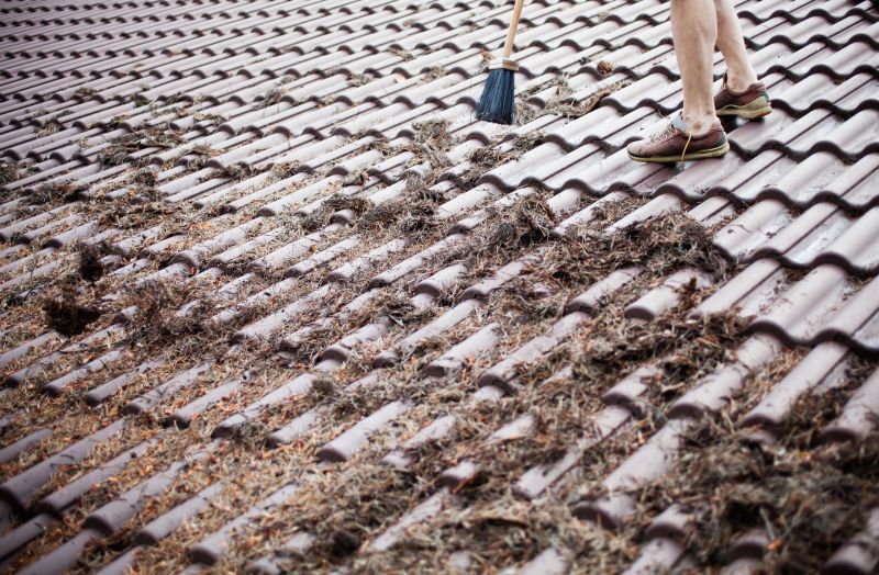 Roof Pine Needles Removal in Vancouver, WA
