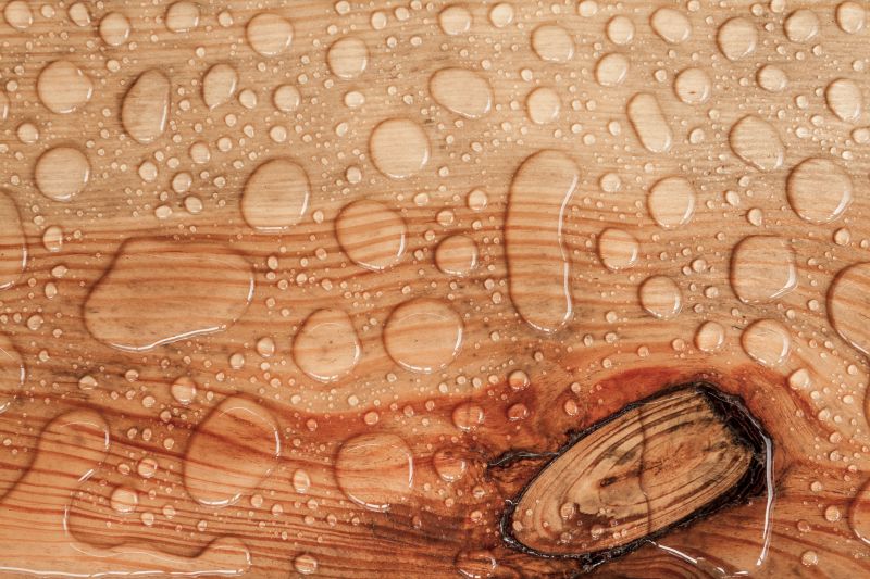 Wood Waterproofing in Tacoma, WA