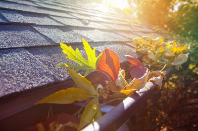 Clean Your Gutters of Debris!
