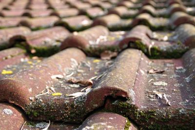 Keep Your Roof Clean of Debris!